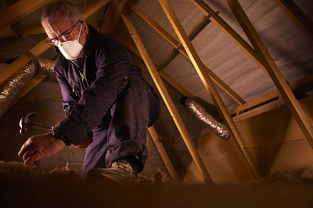Best Insulation Maintenance and Repair in Keeler Farm, NM